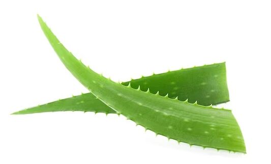 brey Fungeent breya aloe vera içerir